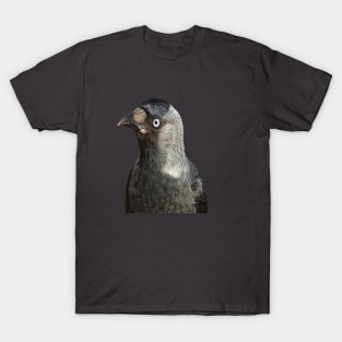 Side Profile Of A Beady Eyed Jackdaw Cut Out T-Shirt